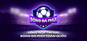Giới thiệu chung trang tin tức bóng đá phủi - bongdaphui.vn