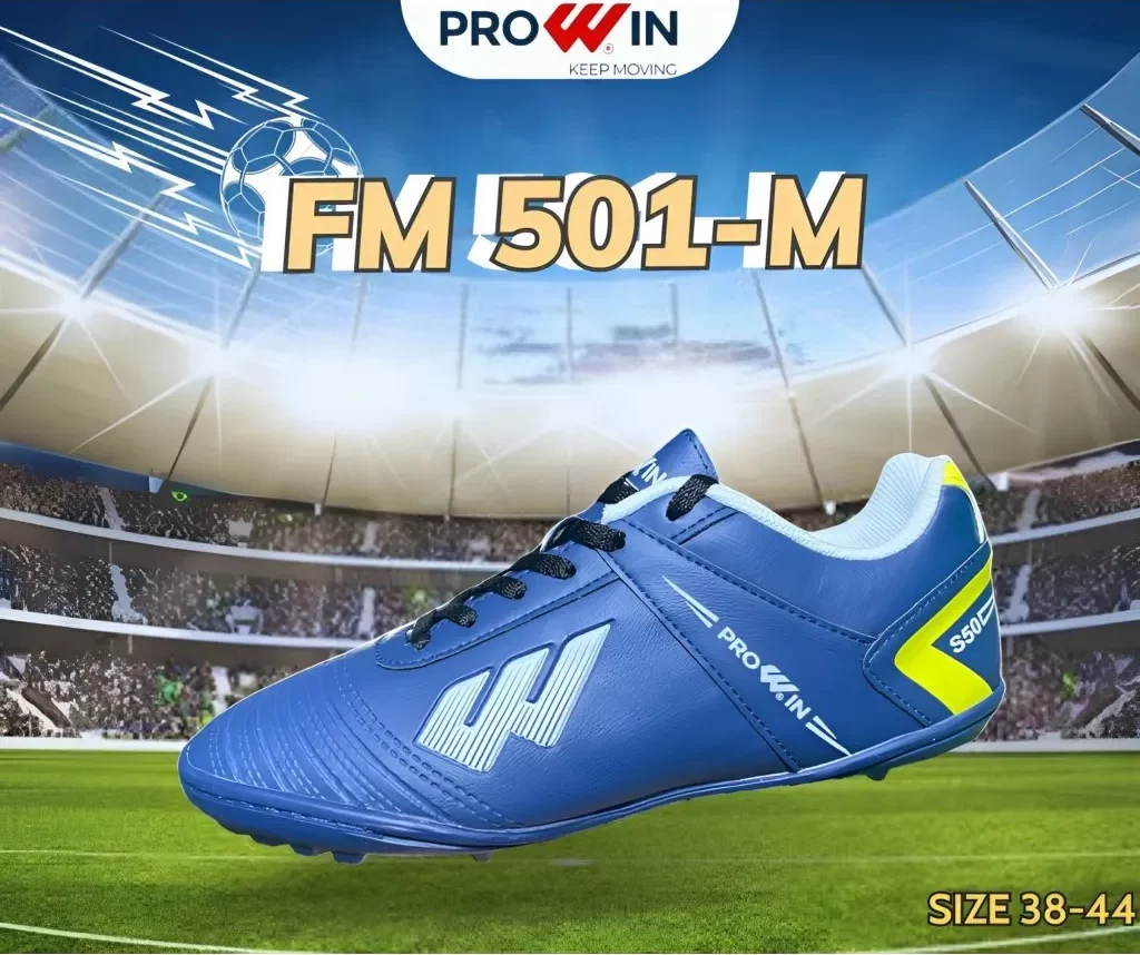 Prowin FM501M