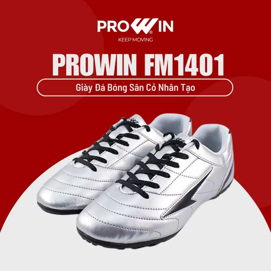 Prowin FM1401