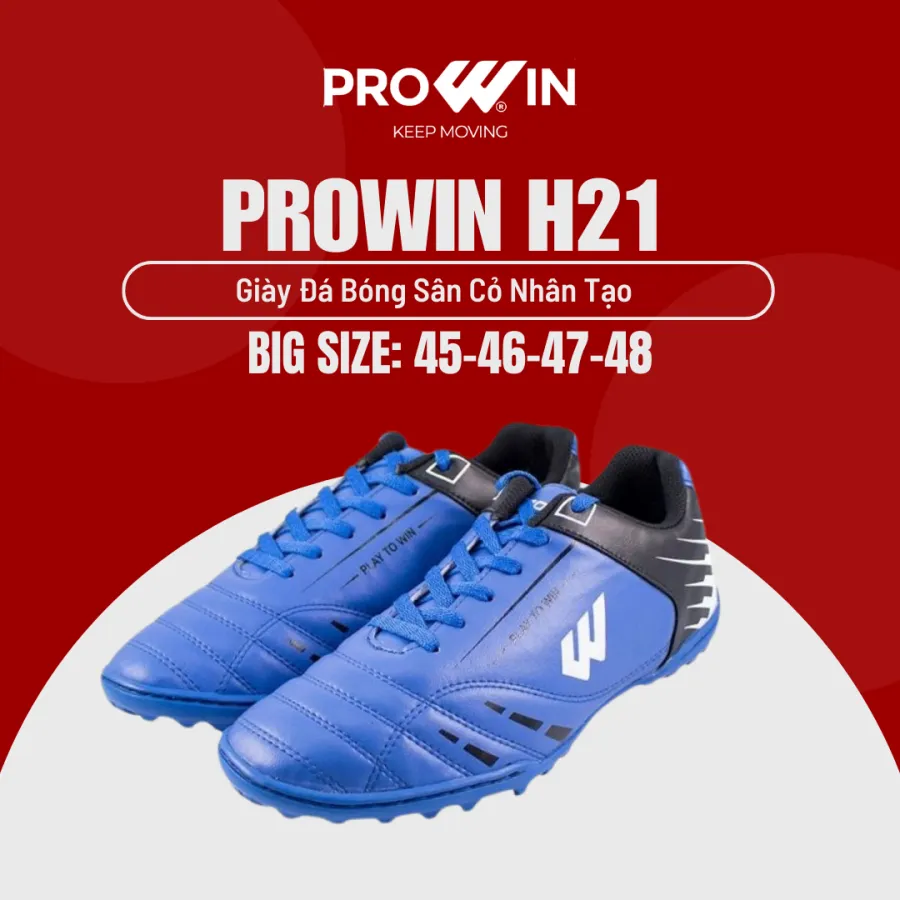 Prowin H21