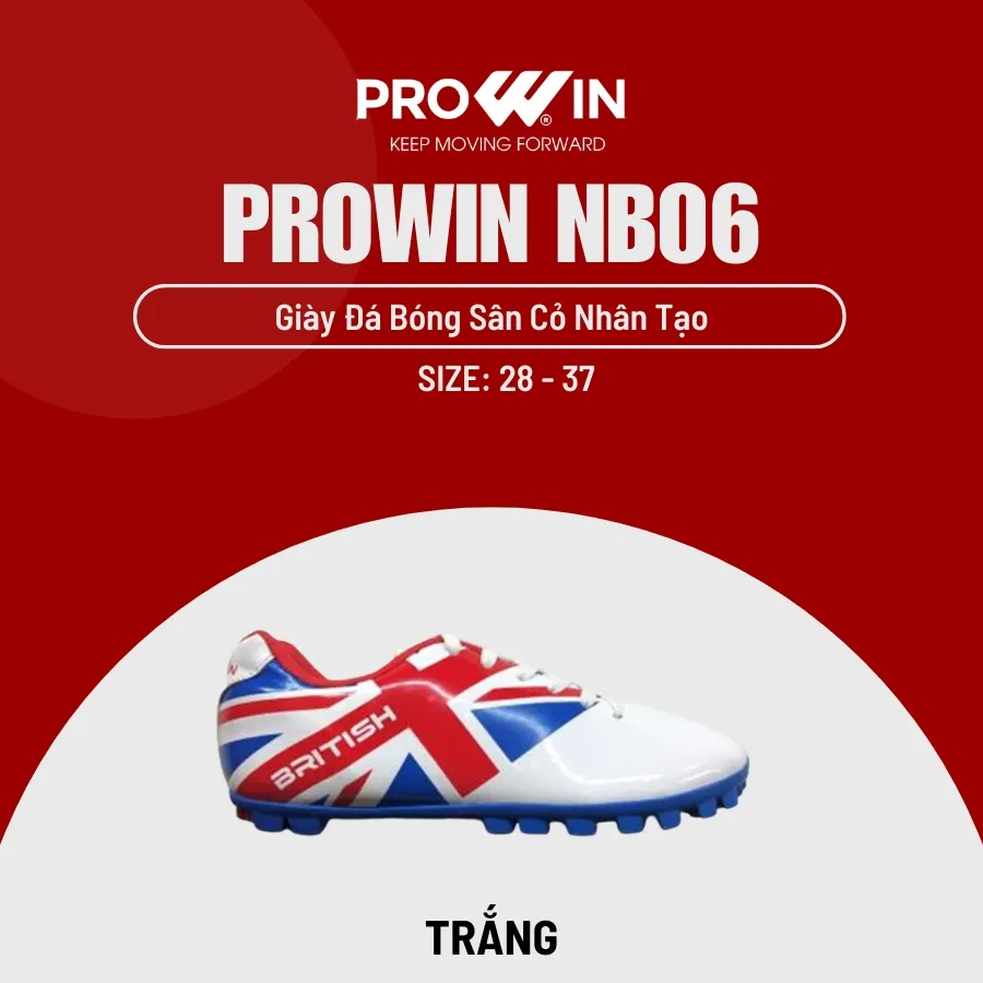 Prowin NB06